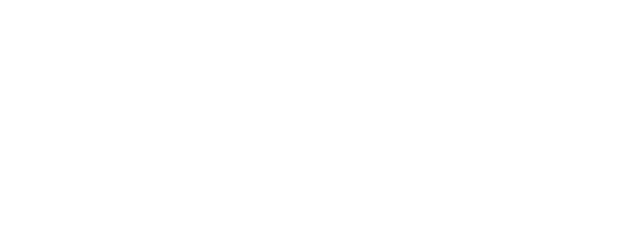 NSA-Logo - white